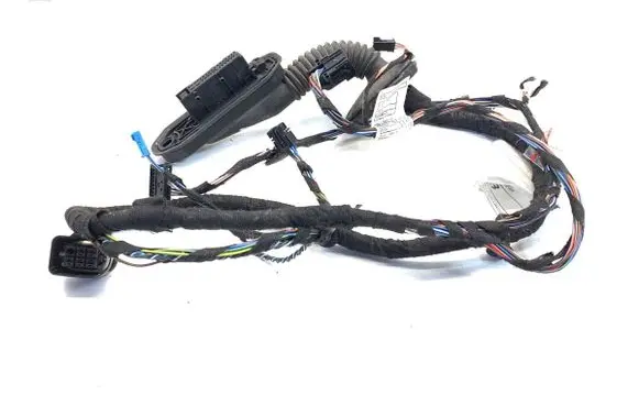 BMW X1 E84 Front door wiring loom 9209941