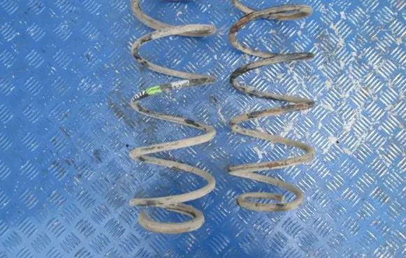 Peugeot 406 Front coil spring
