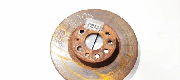 Volkswagen Golf V Front brake disc ventiliuojamas