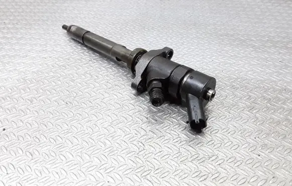 Citroen C5 Fuel injector 0445110259