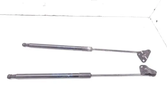 Toyota C-HR I Tailgate/trunk strut/damper 68960F4010