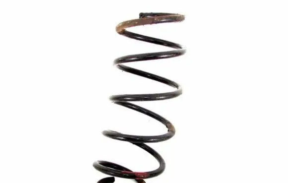 Front coil spring