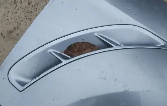 Fender trim (molding)