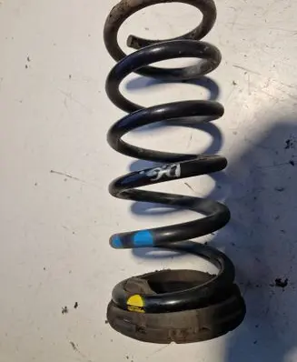 Chevrolet Captiva Rear coil spring 20811214 15882987