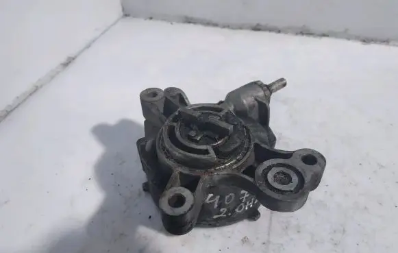 Peugeot 407 Vacuum pump D1651B