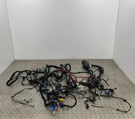 Maserati Ghibli Other wiring loom 670033222 06700332220
