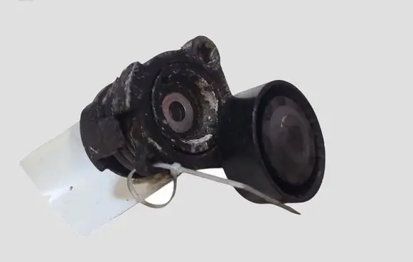 Opel Antara Generator/alternator belt tensioner