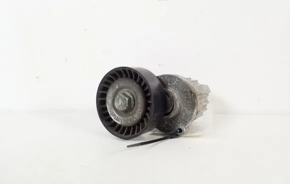 Volkswagen Caddy Timing belt/chain tensioner 038903315AJ