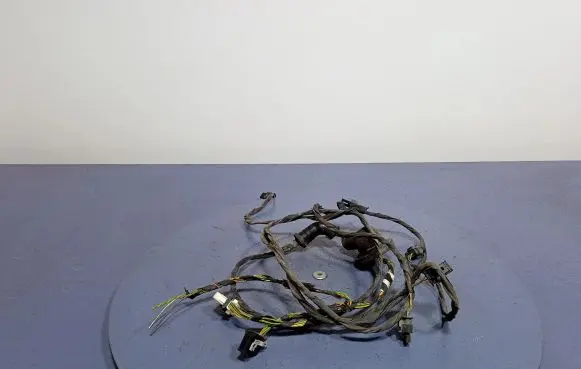 BMW X1 E84 Other wiring loom