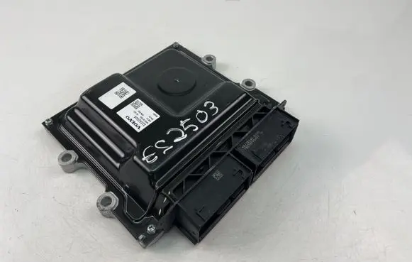 Engine control unit/module ECU