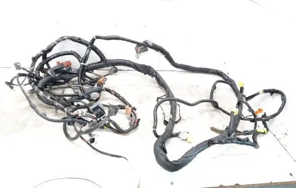 Renault Koleos I Other wiring loom 24015JY44B