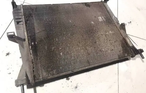 Renault Clio III Coolant radiator 