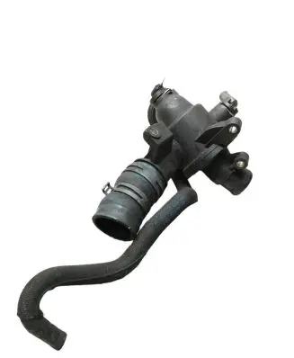 Thermostat/thermostat housing