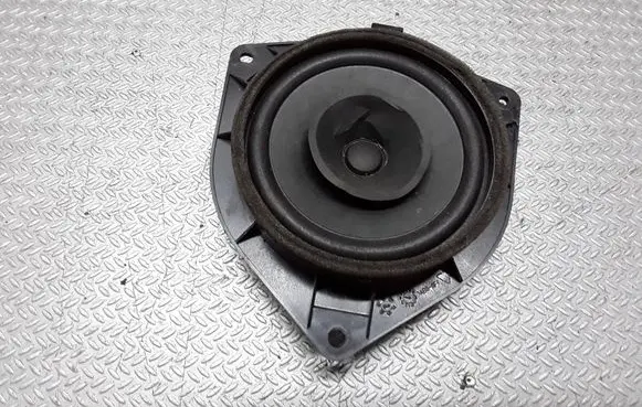 Rear door speaker