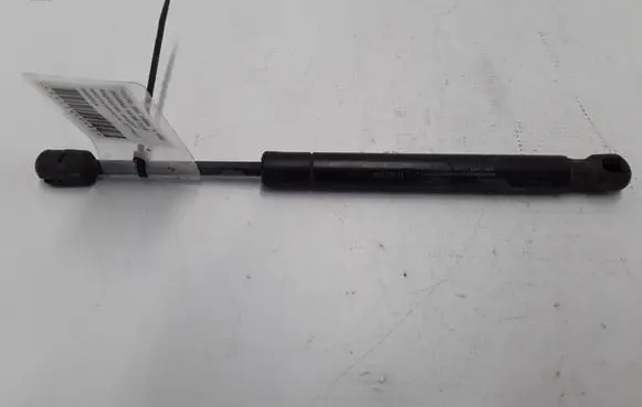 Tailgate strut