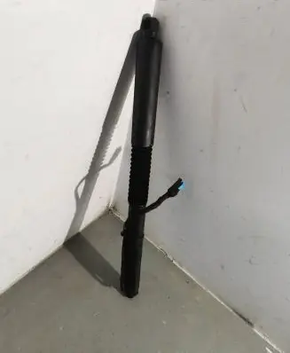 Tailgate strut