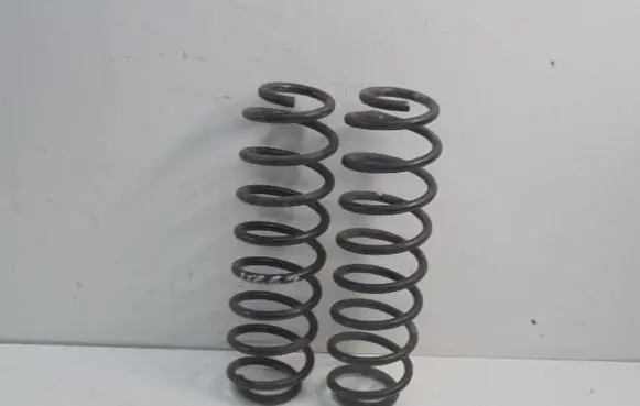 Rear coil spring