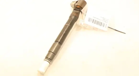 Mazda 2 Fuel injector S56013H50
