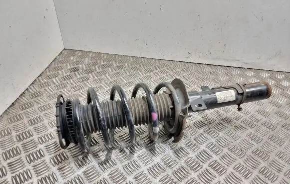 Ford C-MAX II Front shock absorber with coil spring BV6118K001Lbd 06041736 E5632702