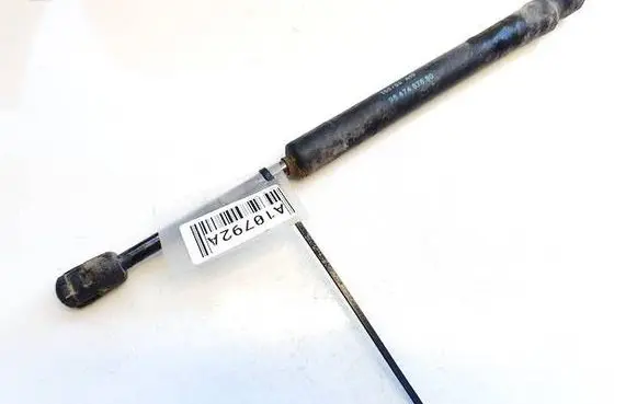Peugeot 407 Tailgate/trunk strut/damper 9647487680
