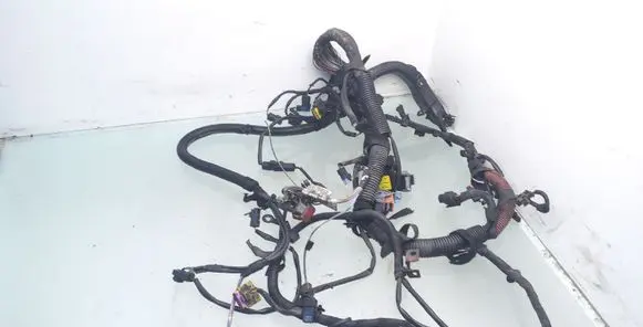 Engine installation wiring loom