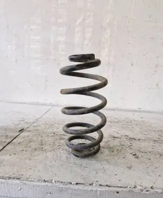 Rear coil spring