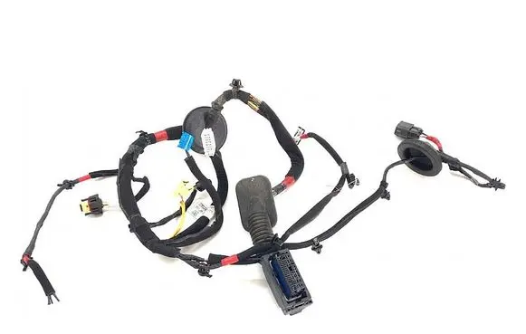Hyundai i30 Front door wiring loom 91602G4310