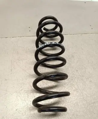 Rear coil spring