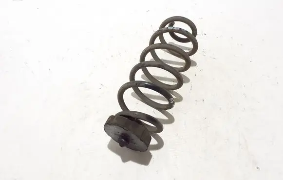 Rear coil spring