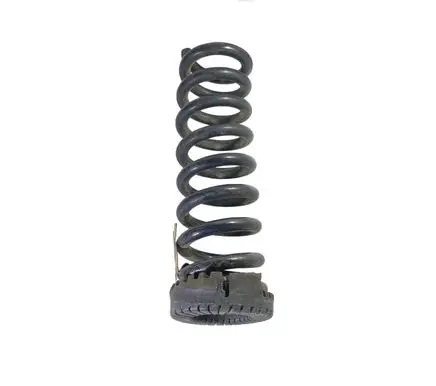 Dodge Charger Rear coil spring 05168889AB