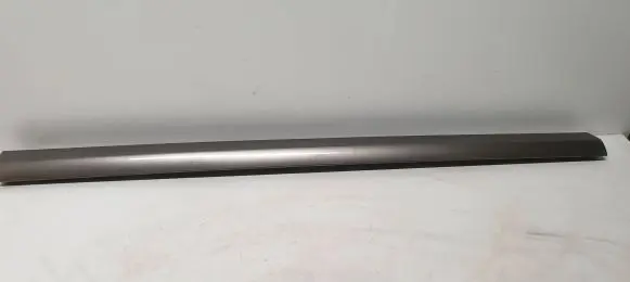 Front door trim (molding)
