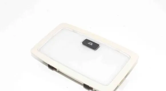 Lexus NX Front seat light