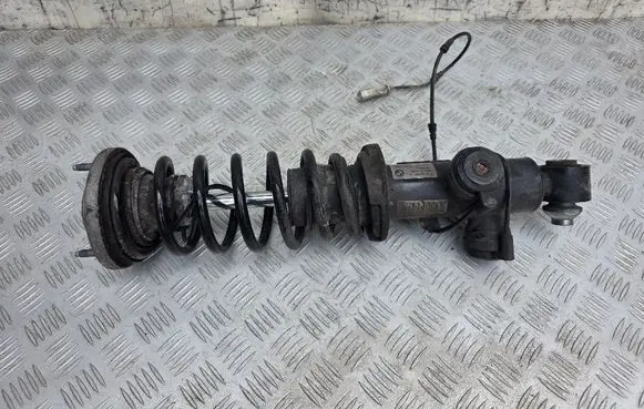 Rear shock absorber/damper
