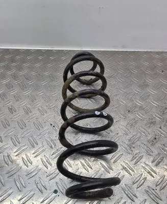 Rear coil spring