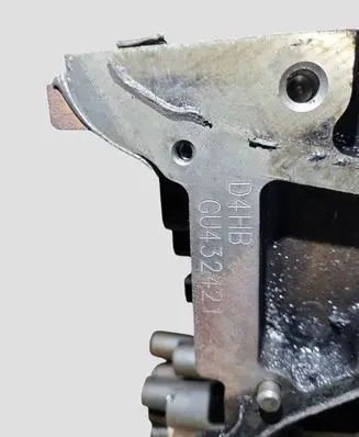 Hyundai Santa Fe Engine block D4HB