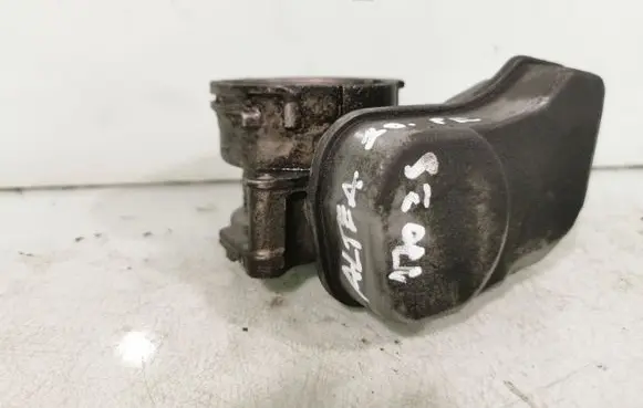 Throttle body valve