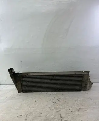 Renault Megane II Intercooler radiator 8200468425 0078851 M4580001