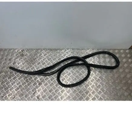 Ford Mustang Mach-E Rubber seal rear door LJ8BR20708