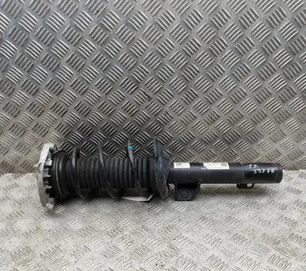 Cupra Born Front shock absorber/damper 1EA412013HA