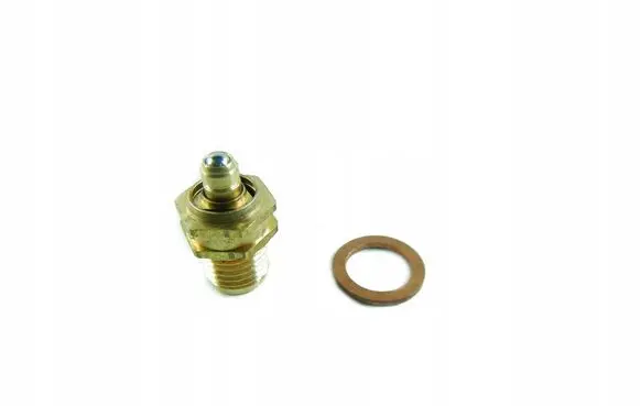 Fiat Ducato Valve oil control 940141178