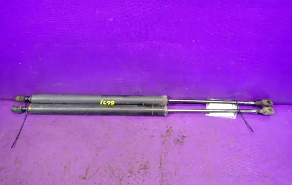 Tailgate strut