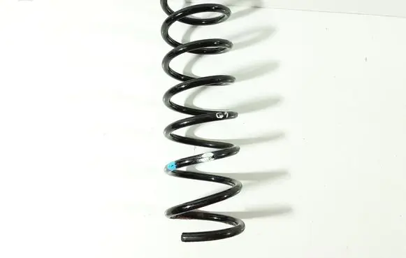 Rear coil spring