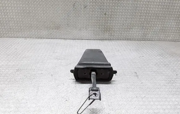 BMW X6 E71 Rear door check strap stopper 51227198267