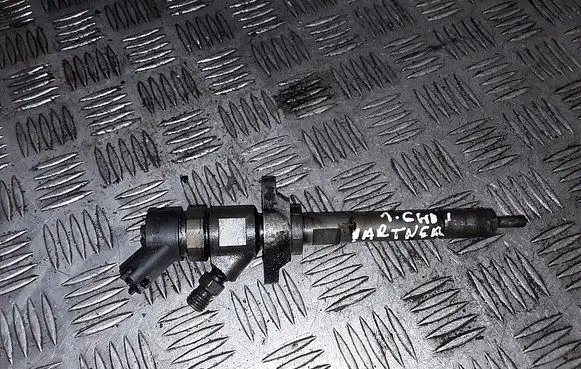 Peugeot Partner Fuel injector 0445110239