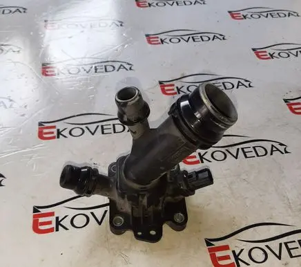 Thermostat/thermostat housing
