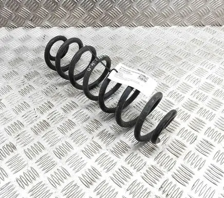 Toyota RAV 4 (XA50) Rear coil spring 4823142590