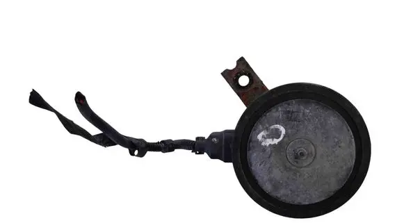 Hyundai H-1, Starex, Satellite Horn signal 966104H101