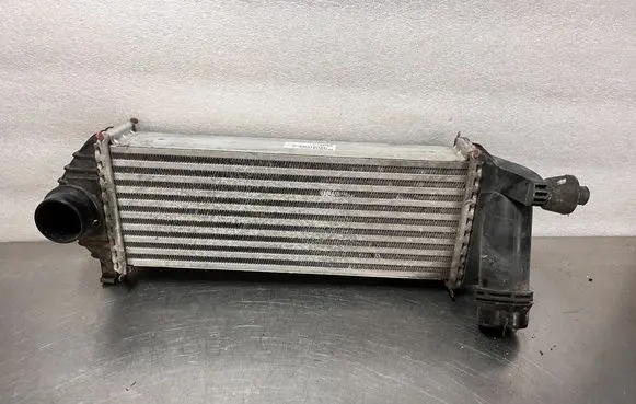 Renault Kangoo III Intercooler radiator 144963234R