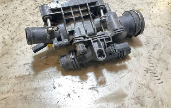 Thermostat/thermostat housing