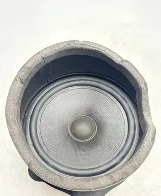 BMW X5 E53 Front door speaker 8381549 65138381549